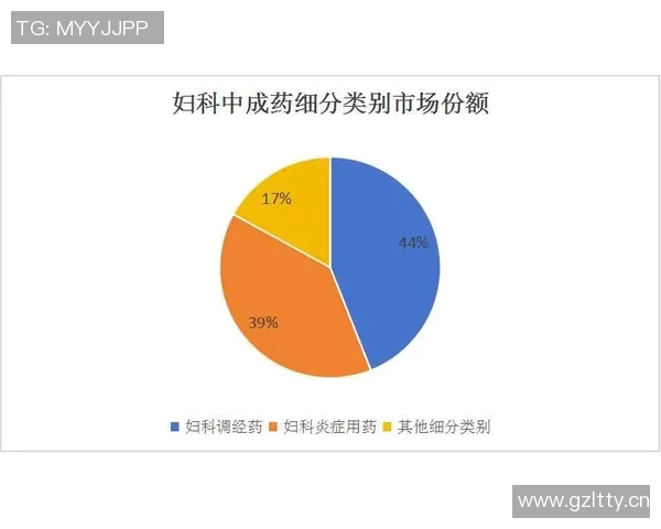 女性在体育圈的地位演变与社会变迁的互动关系及其未来发展趋势探讨 女性在体育圈的地位演变与社会变迁的互动关系及其未来发展趋势探讨